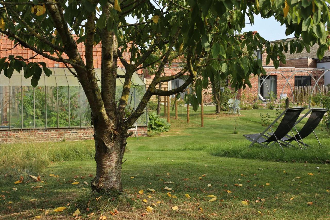 Chambres D'Hotes Herbes Folles Steenwerck Zewnętrze zdjęcie